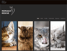 Tablet Screenshot of momakat.org